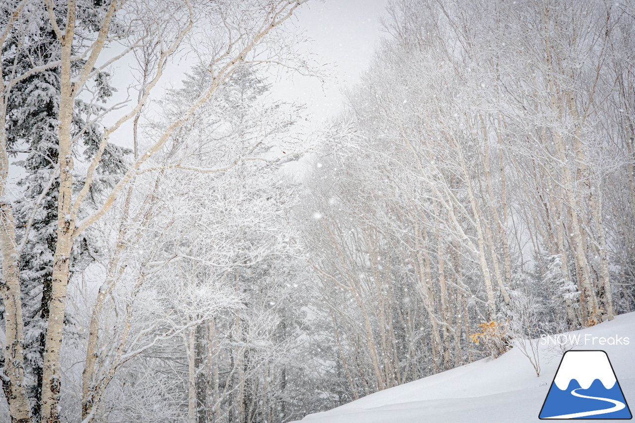 星野リゾート　トマム｜「トマフェス」に「パドルクラブ試乗会」。そして、待望の粉雪！シーズン終盤でも楽しさいっぱいの『星野リゾート　トマム』(^_-)-☆